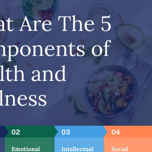 What Are The 5 Components of Health and Wellness