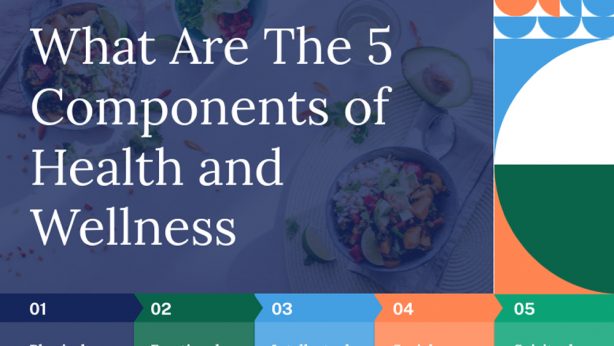What Are The 5 Components of Health and Wellness